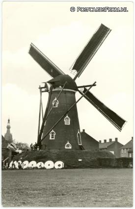 ansichtkaart: Hilvarenbeek, Korenmolen 'De Doornenboom'