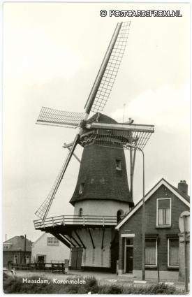 ansichtkaart: Maasdam, Korenmolen
