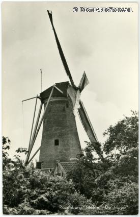 ansichtkaart: Rozenburg ZH, Molen 'De Hoop'