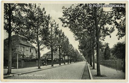ansichtkaart: Waalwijk, Mr. van Coothstraat
