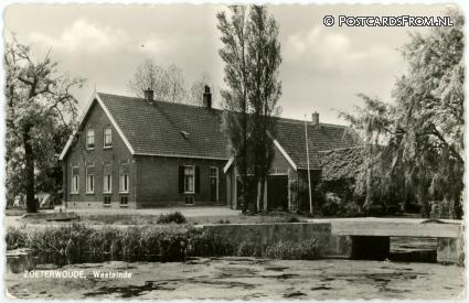 ansichtkaart: Zoeterwoude, Westeinde