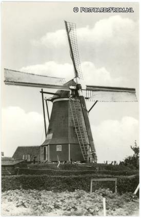 Wissenkerke, Korenmolen 'De Graanhelm' ansichtkaart: Wissenkerke, Korenmolen 'De Graanhelm'