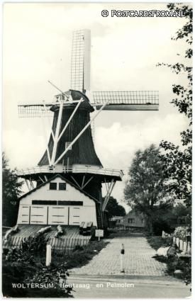 ansichtkaart: Woltersum, Houtzaag- en Pelmolen