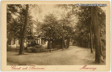 ansichtkaart: Bussum, Meerweg